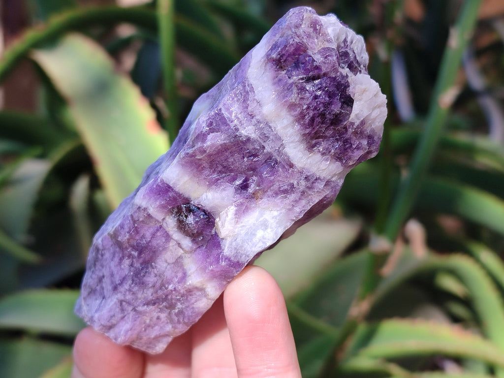 Natural Chevron Amethyst Specimens x 24 from Zambia - Toprock Gemstones and Minerals 