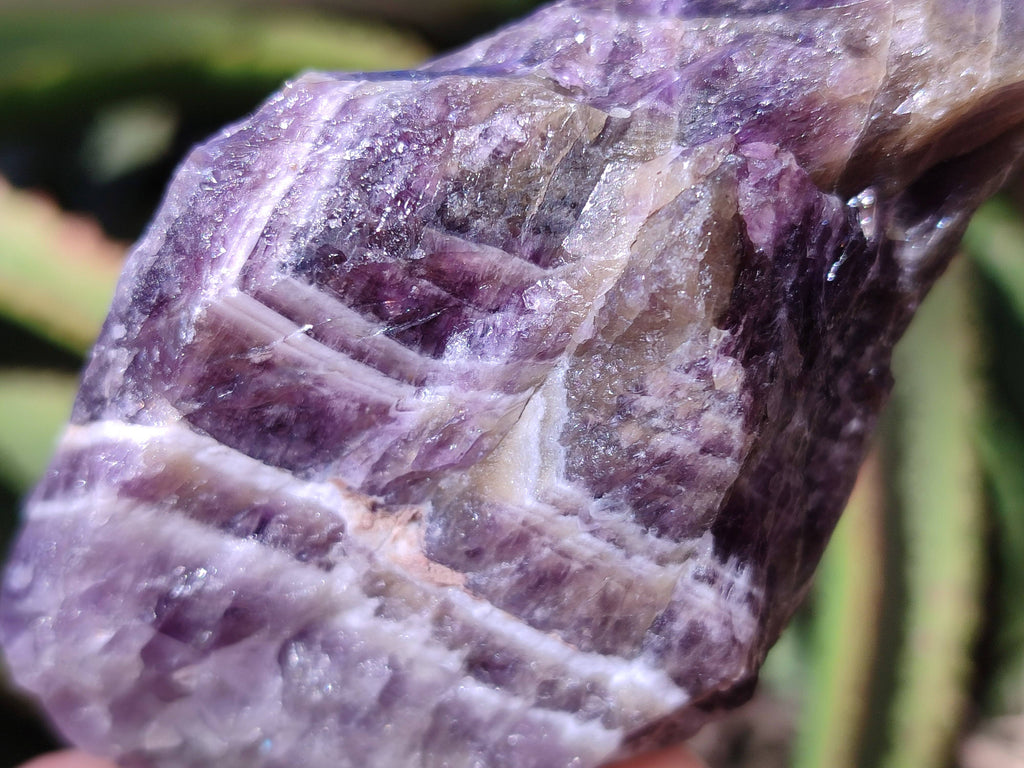 Natural Chevron Amethyst Specimens x 24 from Zambia - Toprock Gemstones and Minerals 