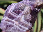 Natural Chevron Amethyst Specimens x 24 from Zambia - Toprock Gemstones and Minerals 