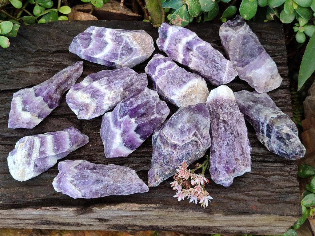 Natural Chevron Amethyst Specimens x 24 from Zambia - Toprock Gemstones and Minerals 