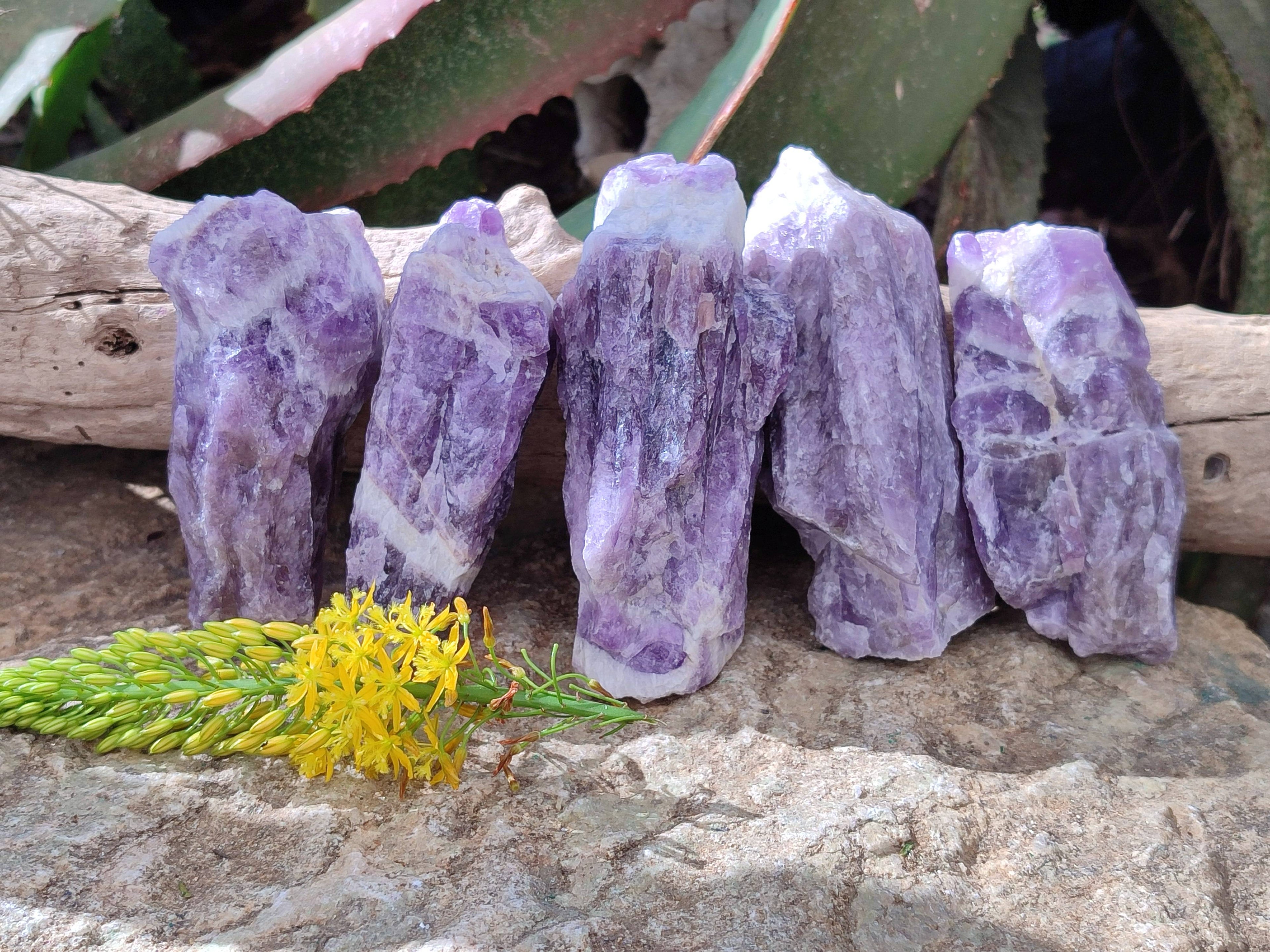 Natural Chevron Amethyst Specimens x 24 from Zambia - Toprock Gemstones and Minerals 