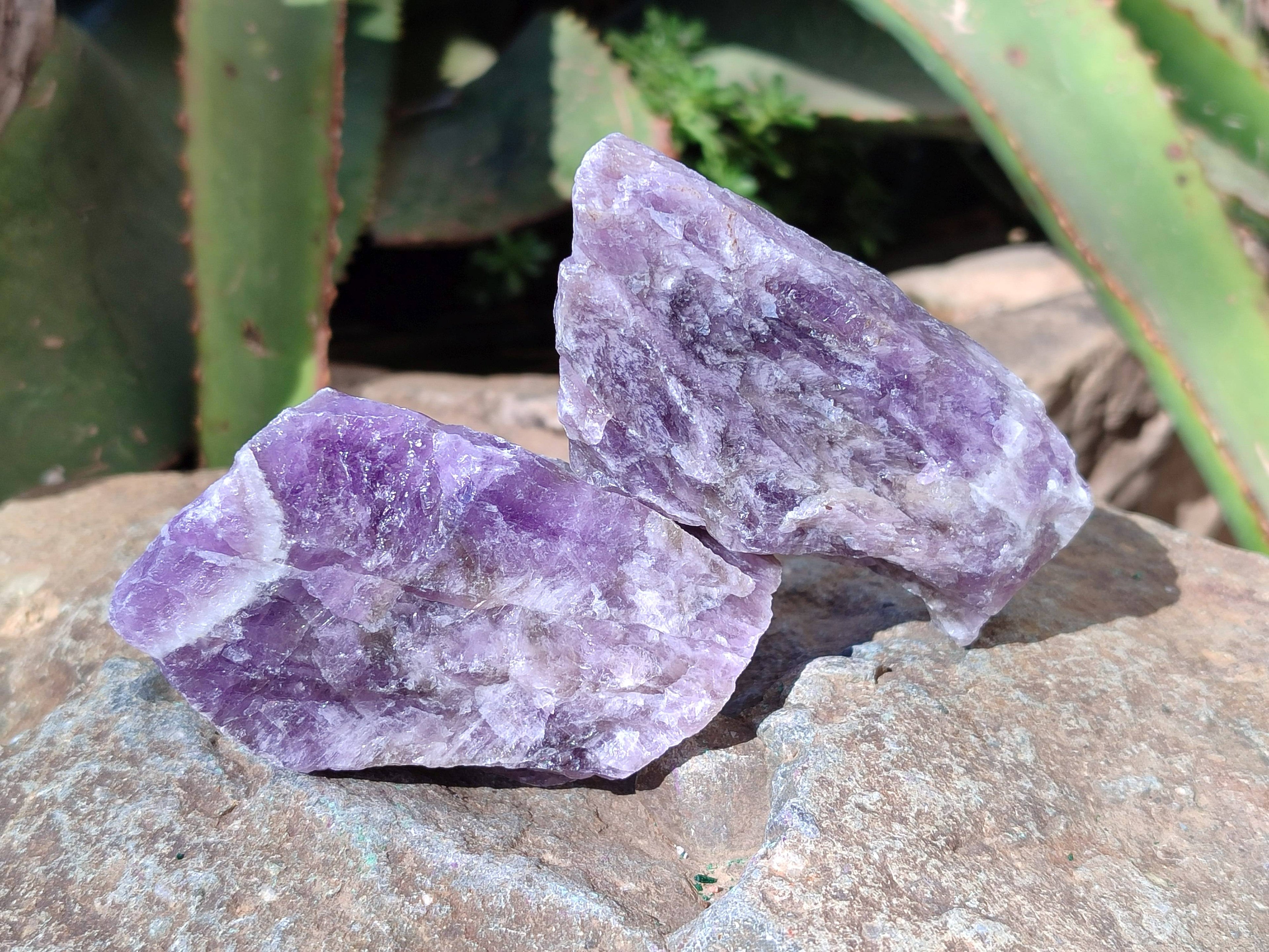 Natural Chevron Amethyst Specimens x 24 from Zambia - Toprock Gemstones and Minerals 