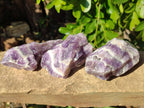 Natural Chevron Amethyst Specimens x 24 from Zambia - Toprock Gemstones and Minerals 