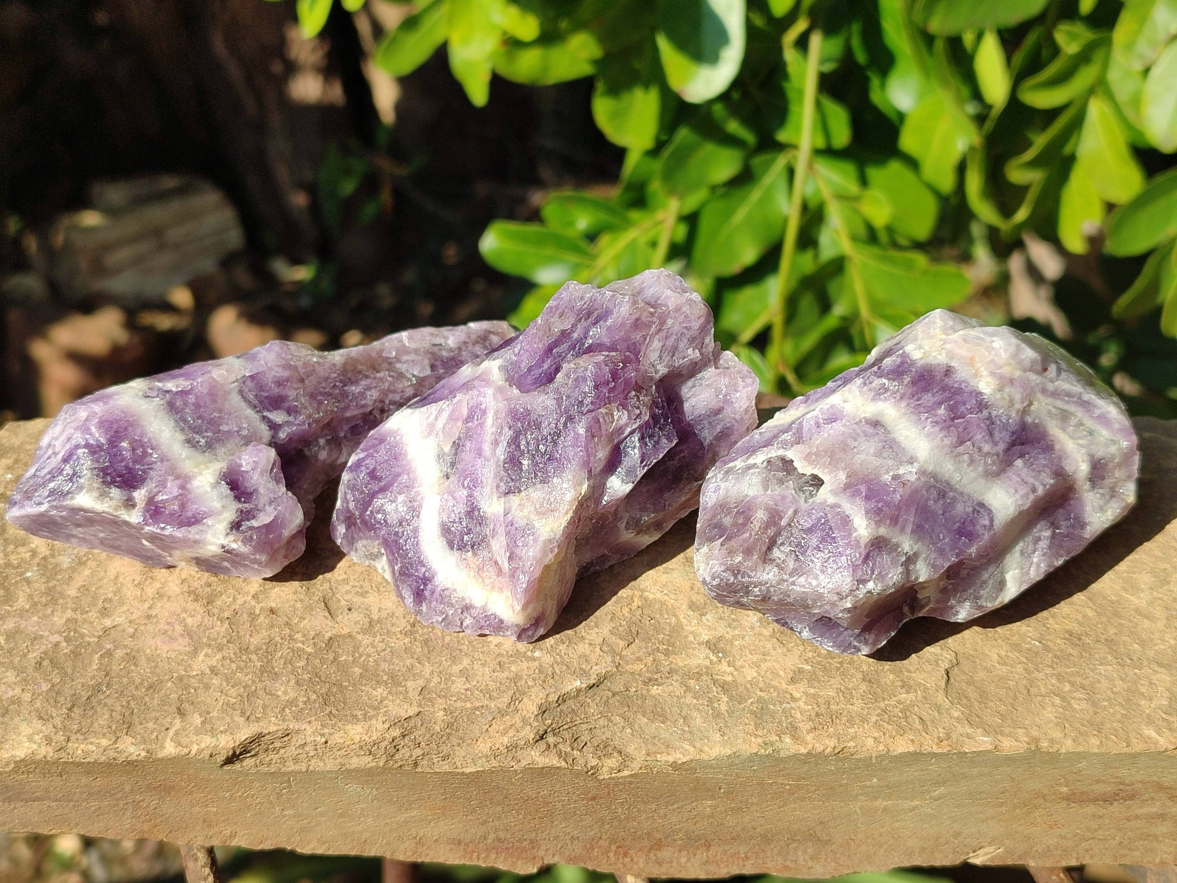 Natural Chevron Amethyst Specimens x 24 from Zambia - Toprock Gemstones and Minerals 