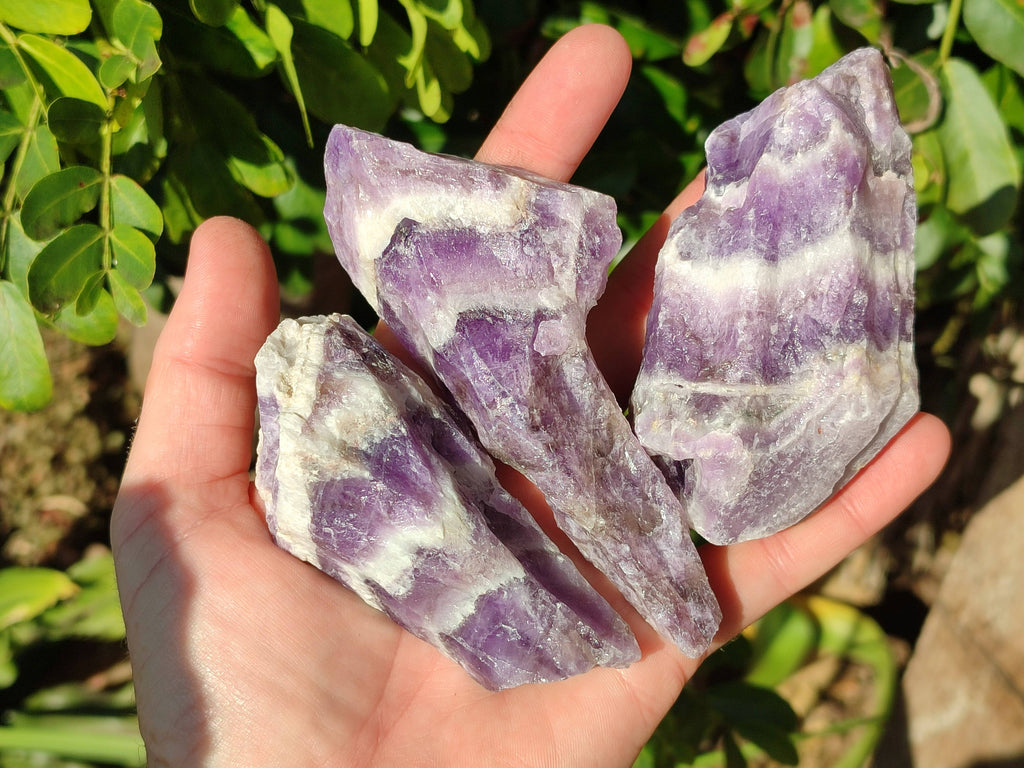 Natural Chevron Amethyst Specimens x 24 from Zambia - Toprock Gemstones and Minerals 