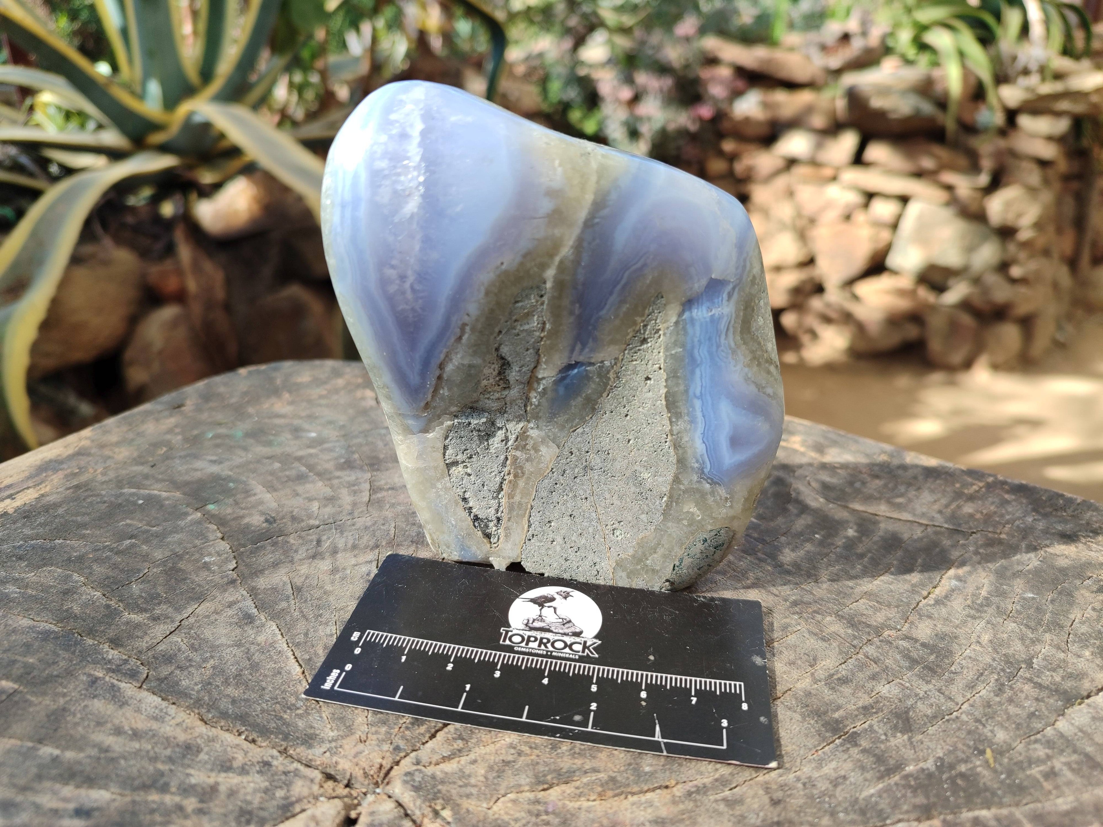 Polished Blue Lace Agate Standing Free Forms x 2 From Malawi - Toprock Gemstones and Minerals 