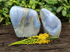 Polished Blue Lace Agate Standing Free Forms x 2 From Malawi - Toprock Gemstones and Minerals 