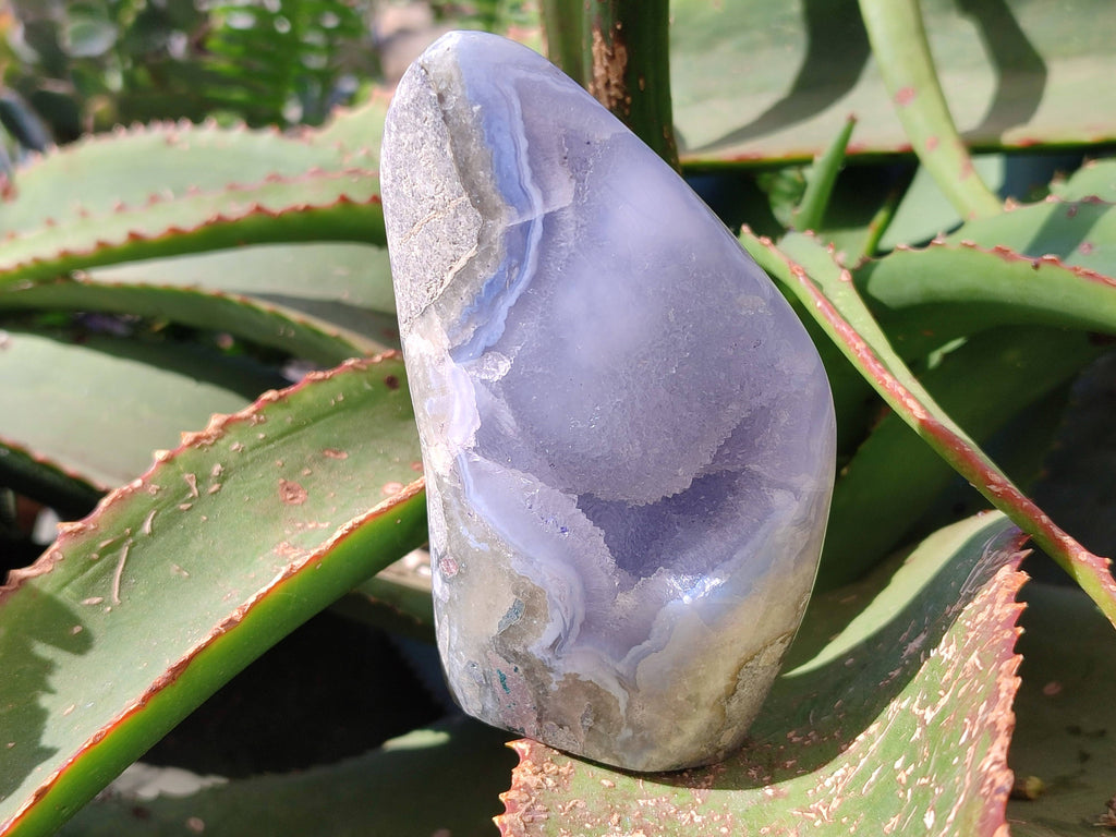 Polished Blue Lace Agate Standing Free Forms x 2 From Malawi - Toprock Gemstones and Minerals 