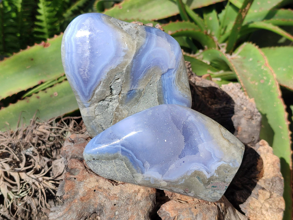 Polished Blue Lace Agate Standing Free Forms x 2 From Malawi - Toprock Gemstones and Minerals 