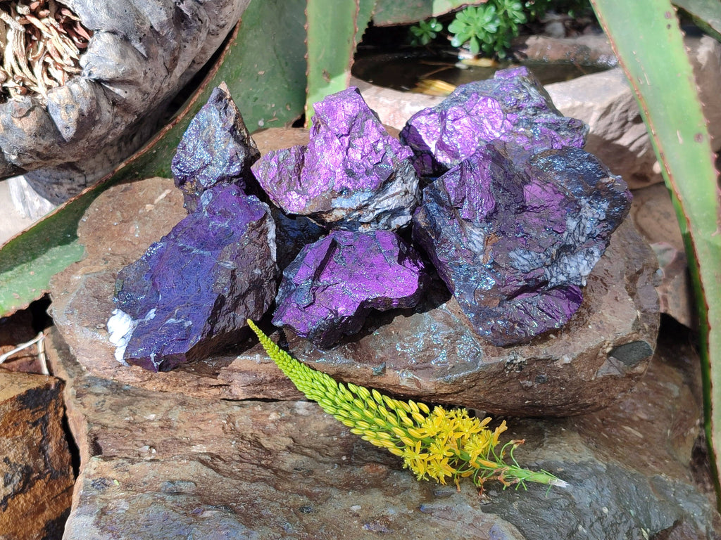 Natural Metallic Purpurite Specimens x 6 From Erongo, Namibia - Toprock Gemstones and Minerals 