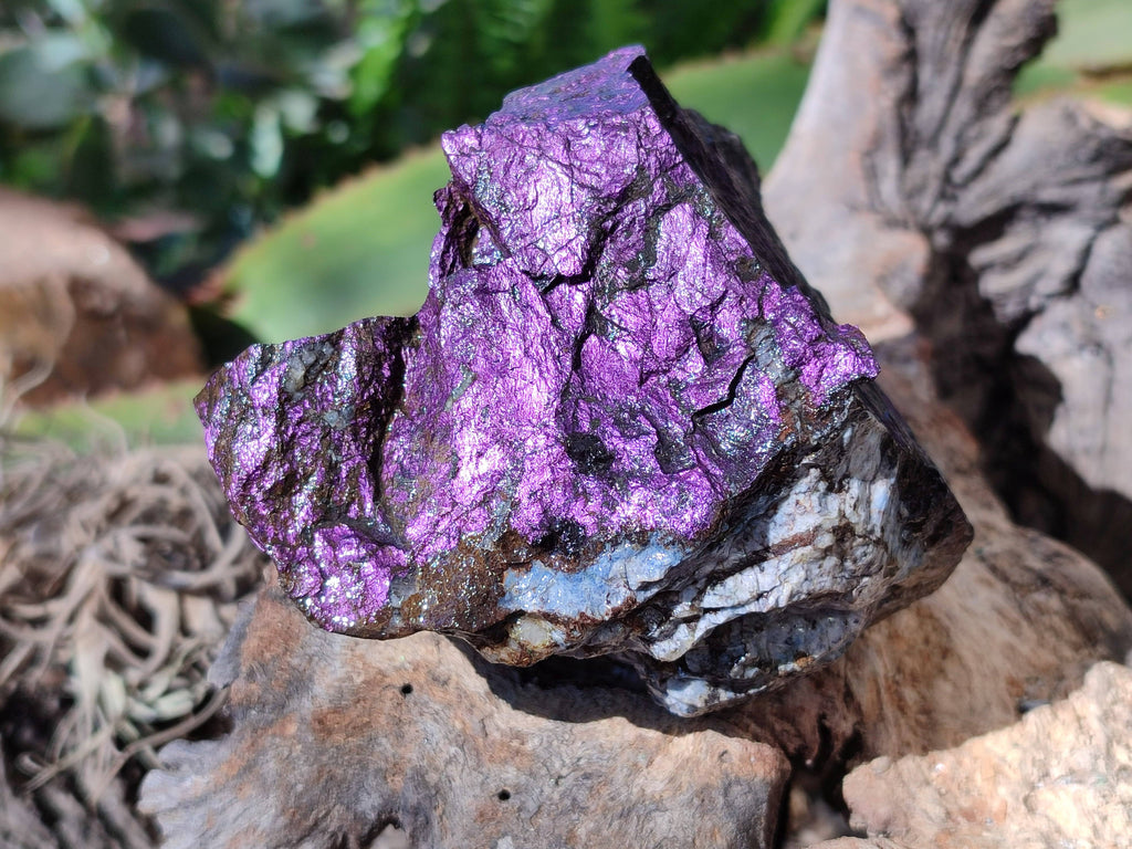 Natural Metallic Purpurite Specimens x 6 From Erongo, Namibia - Toprock Gemstones and Minerals 
