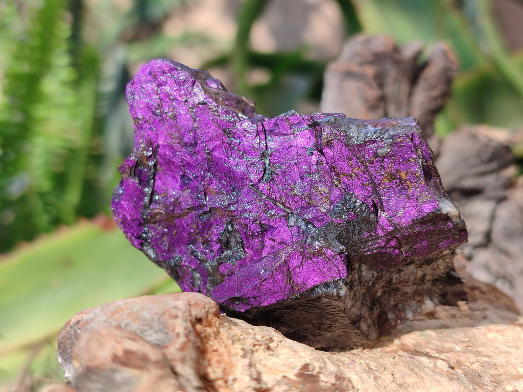 Natural Metallic Purpurite Specimens x 6 From Erongo, Namibia - Toprock Gemstones and Minerals 