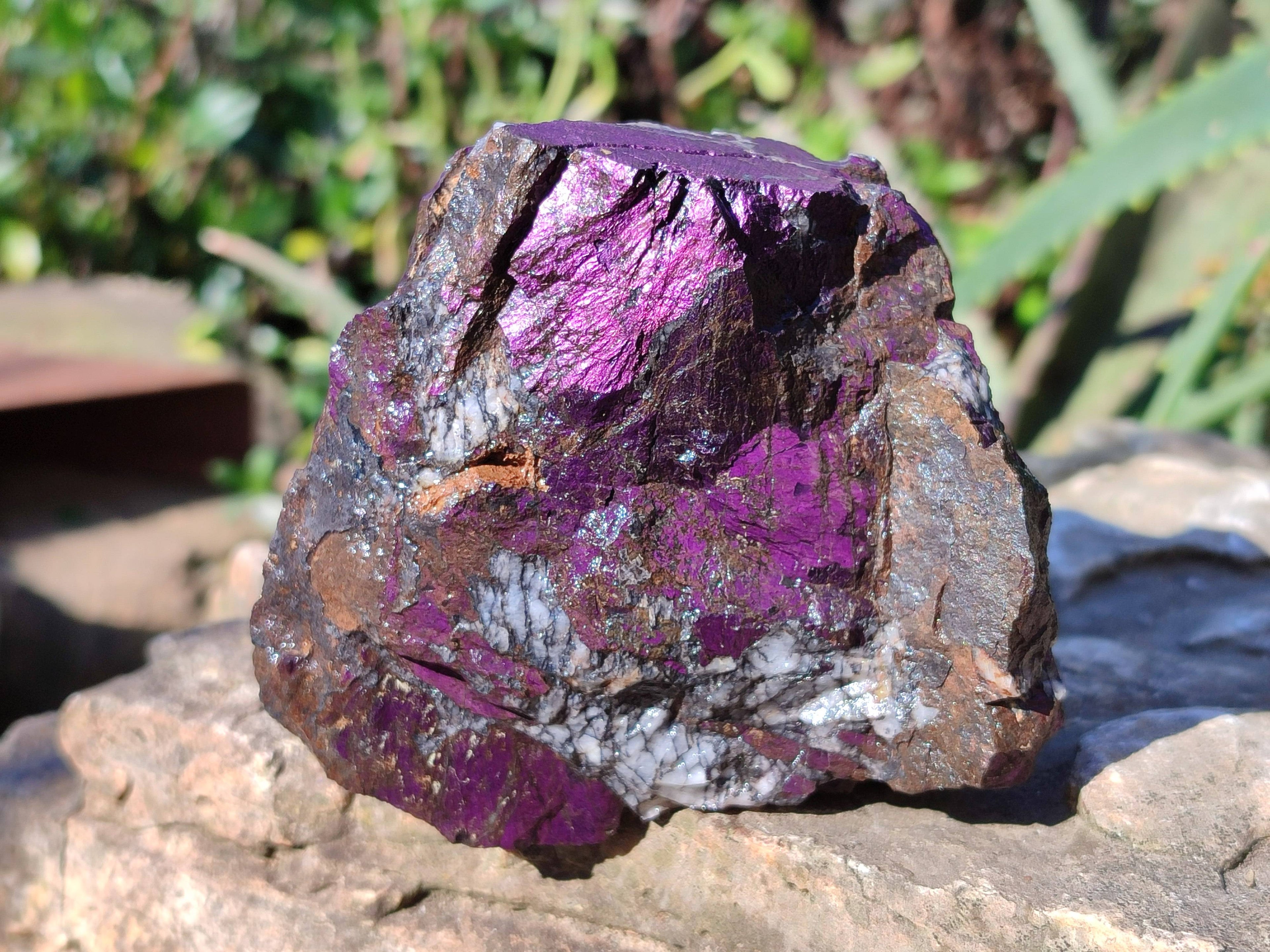 Natural Metallic Purpurite Specimens x 6 From Erongo, Namibia - Toprock Gemstones and Minerals 