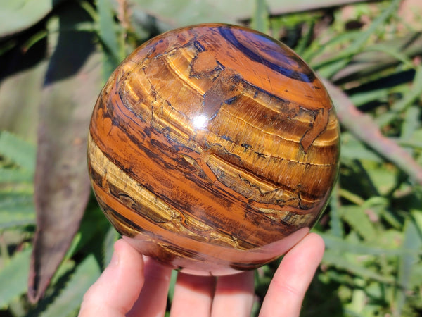 Polished Tigers Eye Sphere x 1 From South Africa