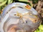 Polished Banded Agate Standing Free Form x 1 From Madagascar - Toprock Gemstones and Minerals 