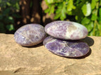 Polished Lepidolite with Pink Rubellite Palm Stones x 12 From Ambatondrazaka, Madagascar - Toprock Gemstones and Minerals 