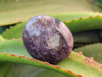 Polished Lepidolite with Pink Rubellite Palm Stones x 12 From Ambatondrazaka, Madagascar - Toprock Gemstones and Minerals 