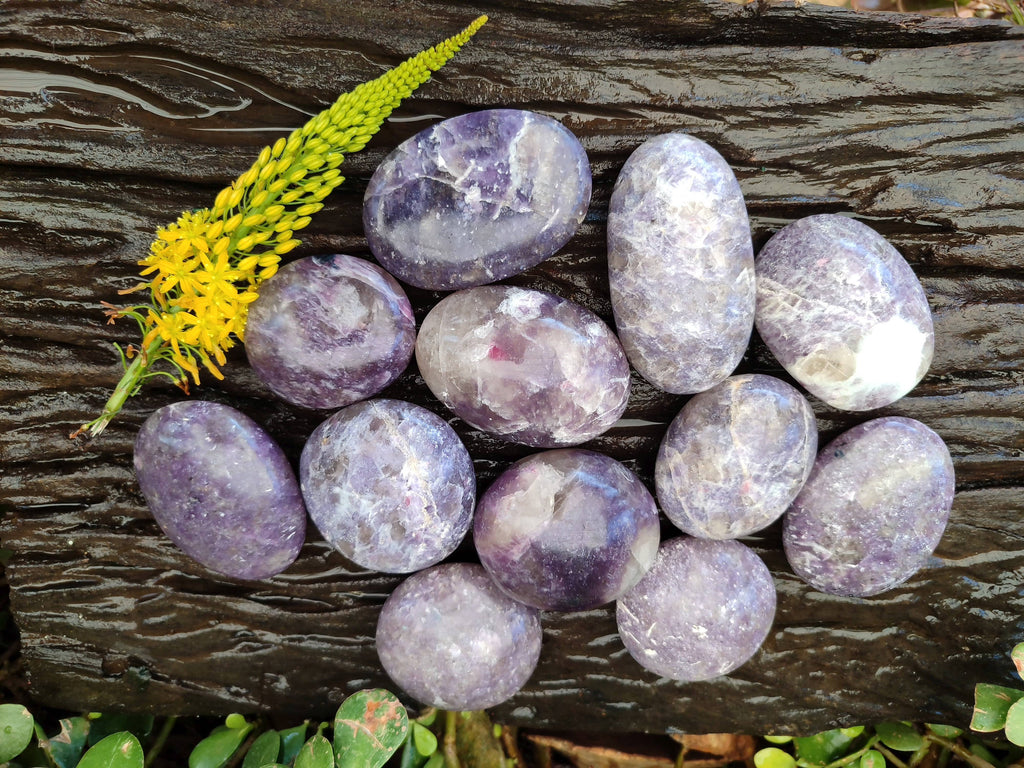 Polished Lepidolite with Pink Rubellite Palm Stones x 12 From Ambatondrazaka, Madagascar - Toprock Gemstones and Minerals 