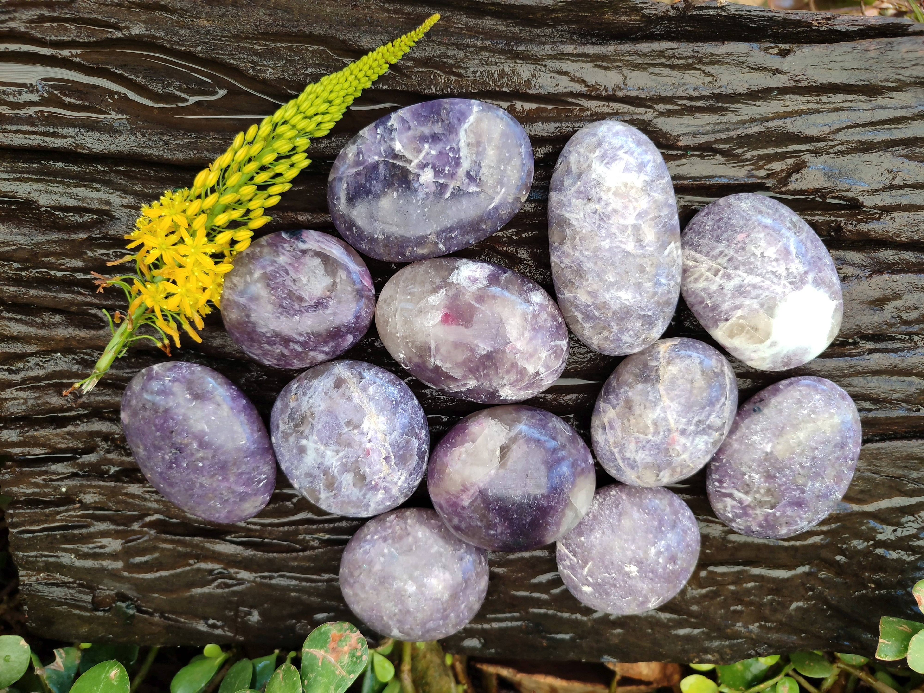 Polished Lepidolite with Pink Rubellite Palm Stones x 12 From Ambatondrazaka, Madagascar - Toprock Gemstones and Minerals 