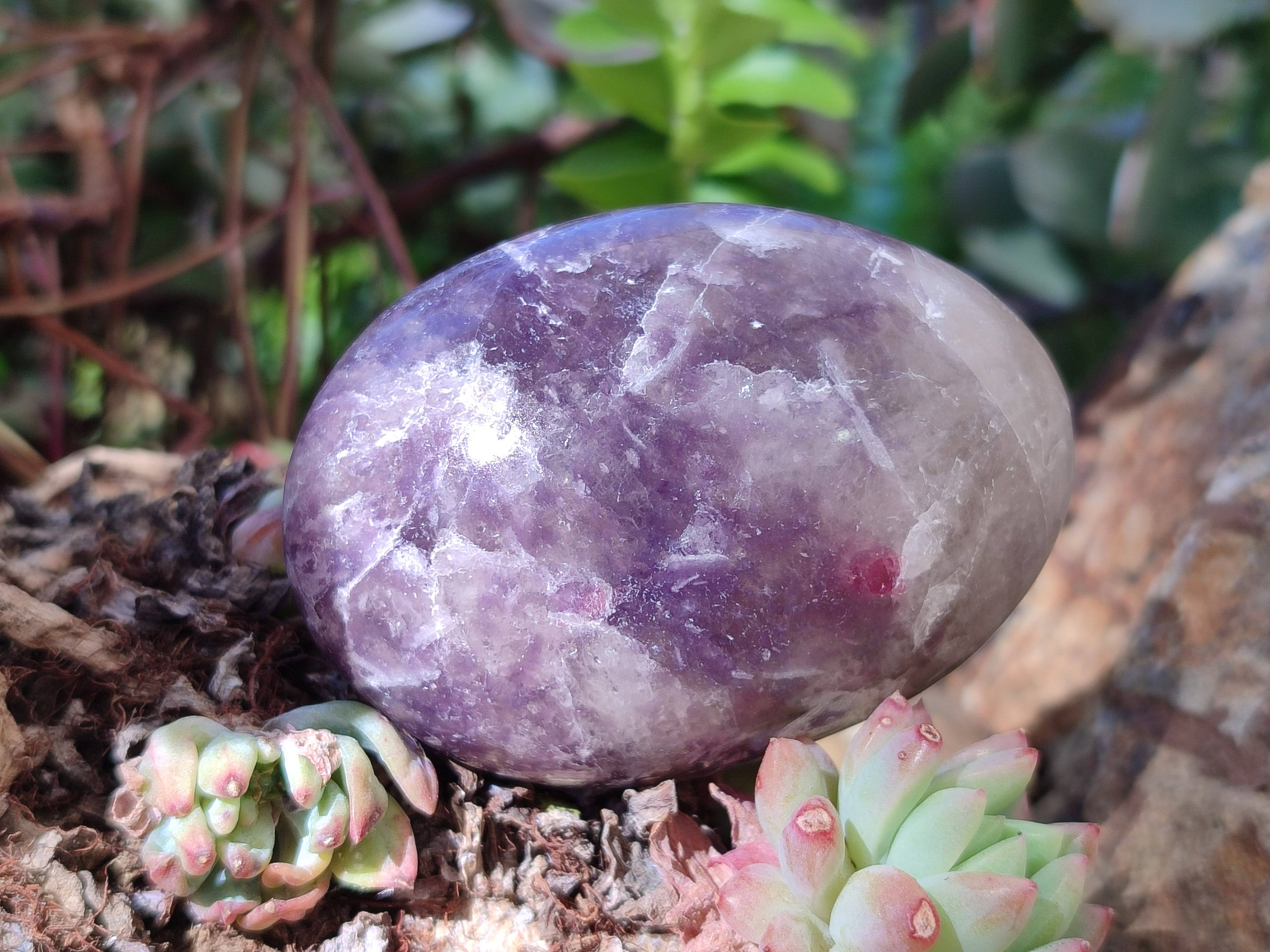 Polished Lepidolite with Pink Rubellite Palm Stones x 12 From Ambatondrazaka, Madagascar - Toprock Gemstones and Minerals 
