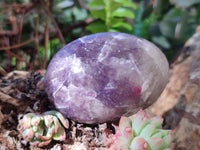 Polished Lepidolite with Pink Rubellite Palm Stones x 12 From Ambatondrazaka, Madagascar - Toprock Gemstones and Minerals 