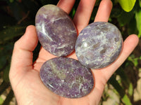 Polished Lepidolite with Pink Rubellite Palm Stones x 12 From Ambatondrazaka, Madagascar - Toprock Gemstones and Minerals 