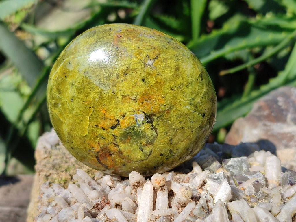 Polished Green Opal Palm Stones x 6 From Madagascar - Toprock Gemstones and Minerals 