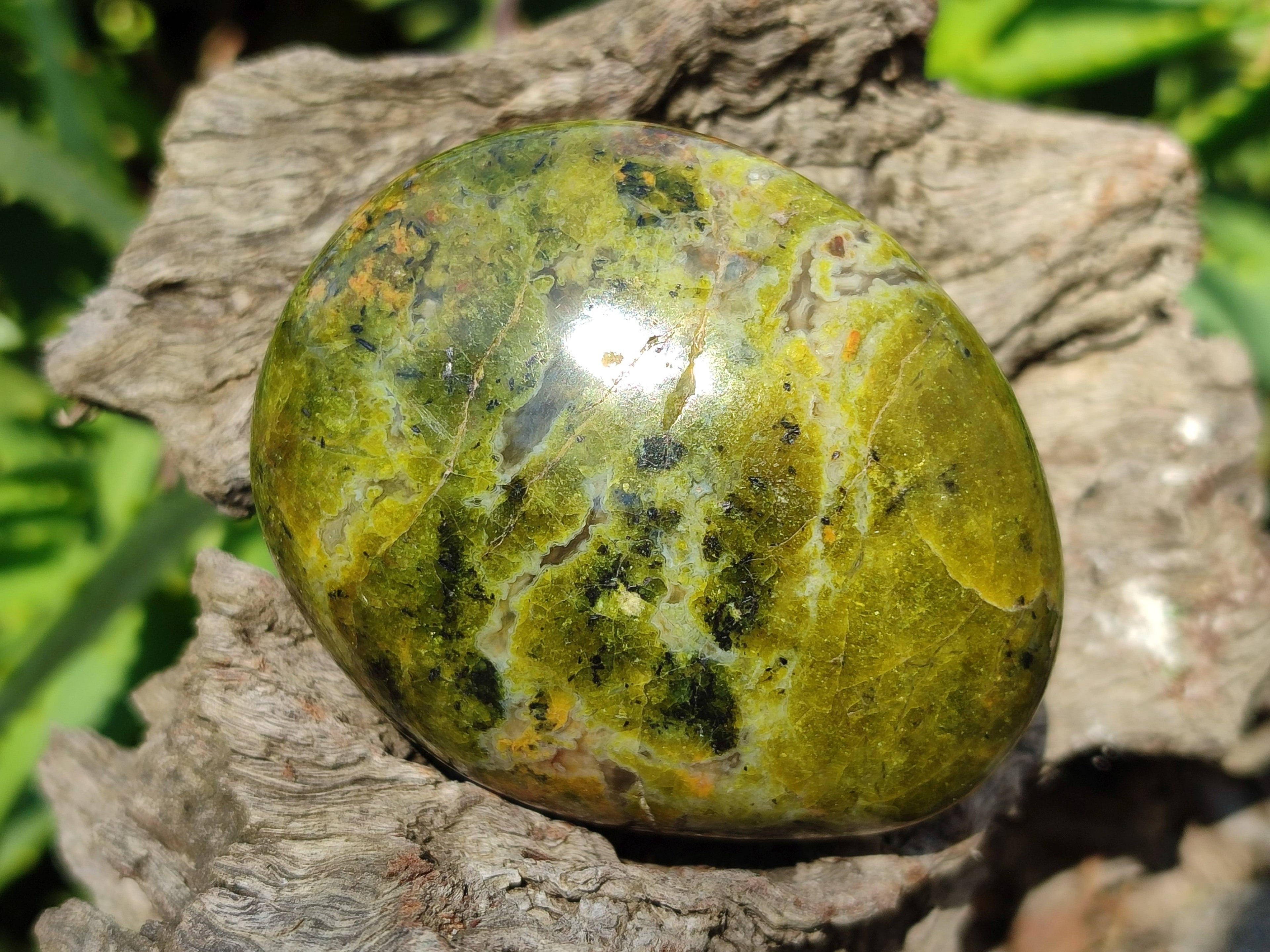 Polished Green Opal Palm Stones x 6 From Madagascar - Toprock Gemstones and Minerals 