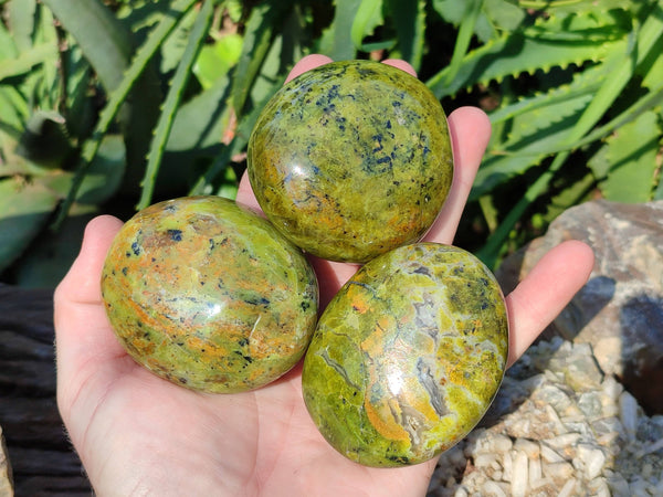 Polished Green Opal Palm Stones x 6 From Madagascar