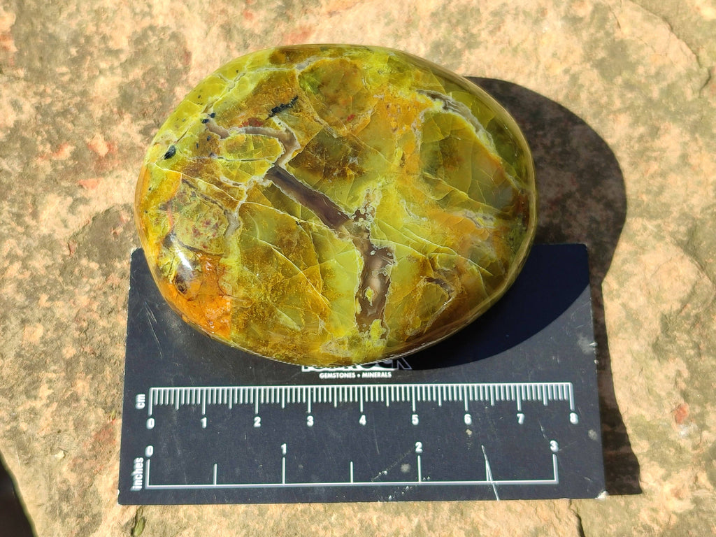 Polished Green Opal Palm Stones x 6 From Madagascar - Toprock Gemstones and Minerals 