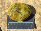 Polished Green Opal Palm Stones x 6 From Madagascar - Toprock Gemstones and Minerals 