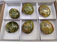 Polished Green Opal Palm Stones x 6 From Madagascar - Toprock Gemstones and Minerals 