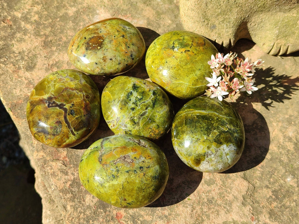 Polished Green Opal Palm Stones x 6 From Madagascar - Toprock Gemstones and Minerals 