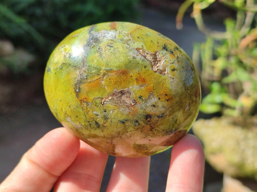 Polished Green Opal Palm Stones x 6 From Madagascar - Toprock Gemstones and Minerals 