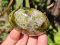 Polished Green Opal Palm Stones x 6 From Madagascar - Toprock Gemstones and Minerals 