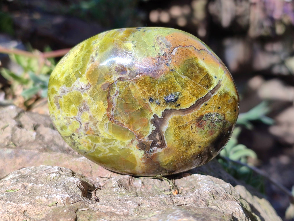 Polished Green Opal Palm Stones x 6 From Madagascar - Toprock Gemstones and Minerals 
