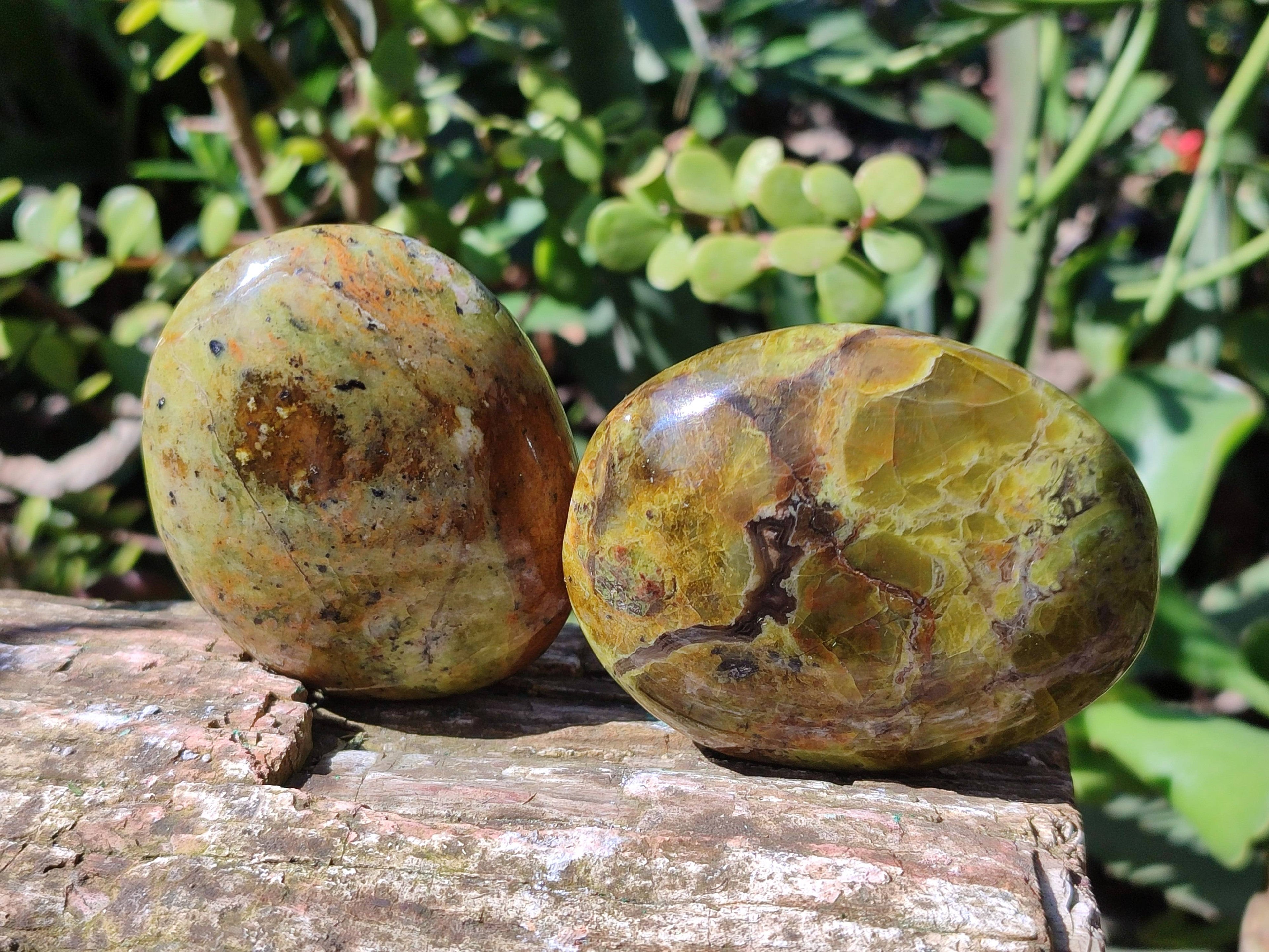 Polished Green Opal Palm Stones x 6 From Madagascar - Toprock Gemstones and Minerals 