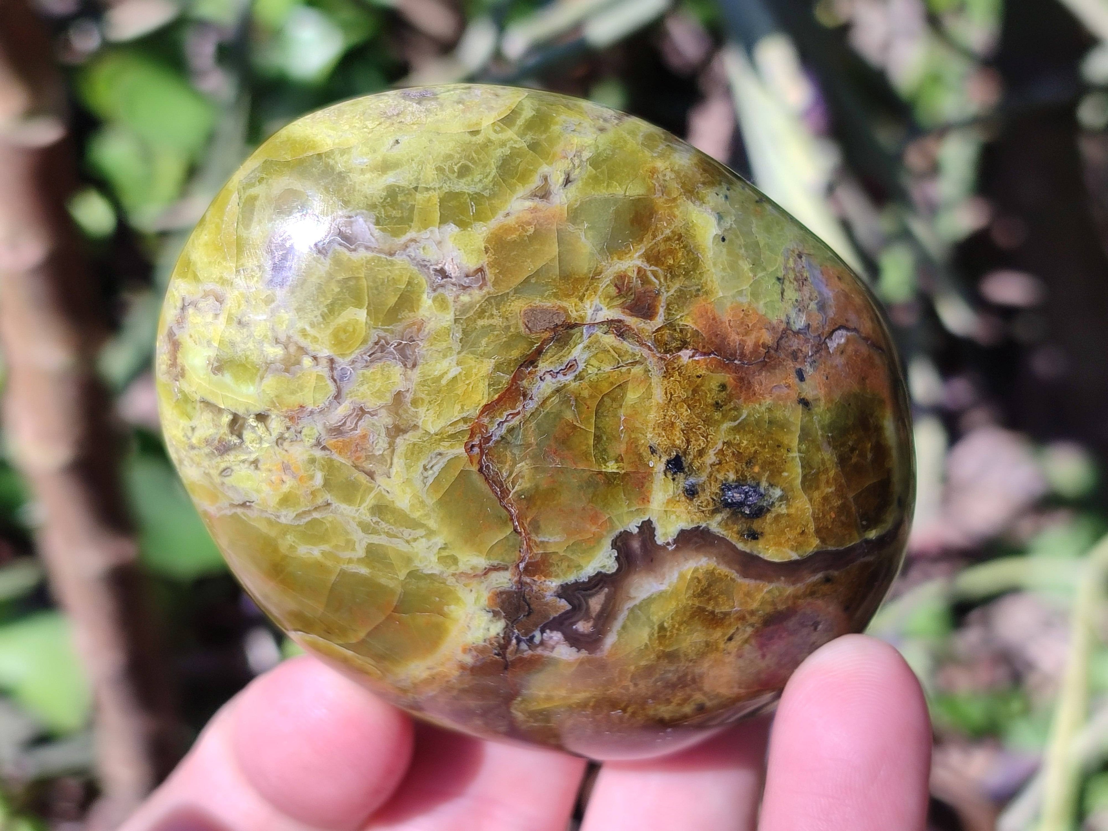 Polished Green Opal Palm Stones x 6 From Madagascar - Toprock Gemstones and Minerals 