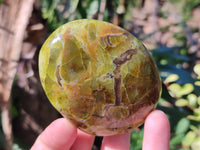 Polished Green Opal Palm Stones x 6 From Madagascar - Toprock Gemstones and Minerals 