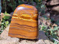 Polished Tigers Eye Standing Free Forms x 4 From South Africa