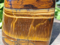 Polished Tigers Eye Standing Free Forms x 4 From South Africa