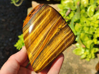 Polished Tigers Eye Standing Free Forms x 4 From South Africa