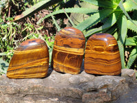 Polished Tigers Eye Standing Free Forms x 4 From South Africa