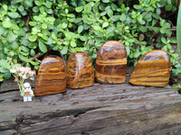 Polished Tigers Eye Standing Free Forms x 4 From South Africa