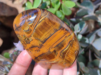 Polished Tigers Eye Standing Free Forms x 4 From South Africa