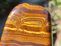 Polished Tigers Eye Standing Free Forms x 4 From South Africa