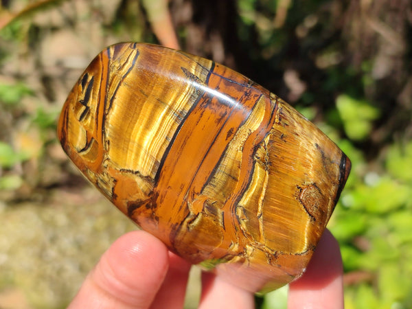 Polished Tigers Eye Standing Free Forms x 4 From South Africa