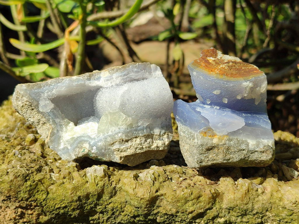 Natural Blue Lace Agate Geode Specimens x 24 From Malawi - Toprock Gemstones and Minerals 