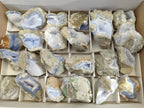 Natural Blue Lace Agate Geode Specimens x 24 From Malawi - Toprock Gemstones and Minerals 