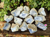 Natural Blue Lace Agate Geode Specimens x 24 From Malawi
